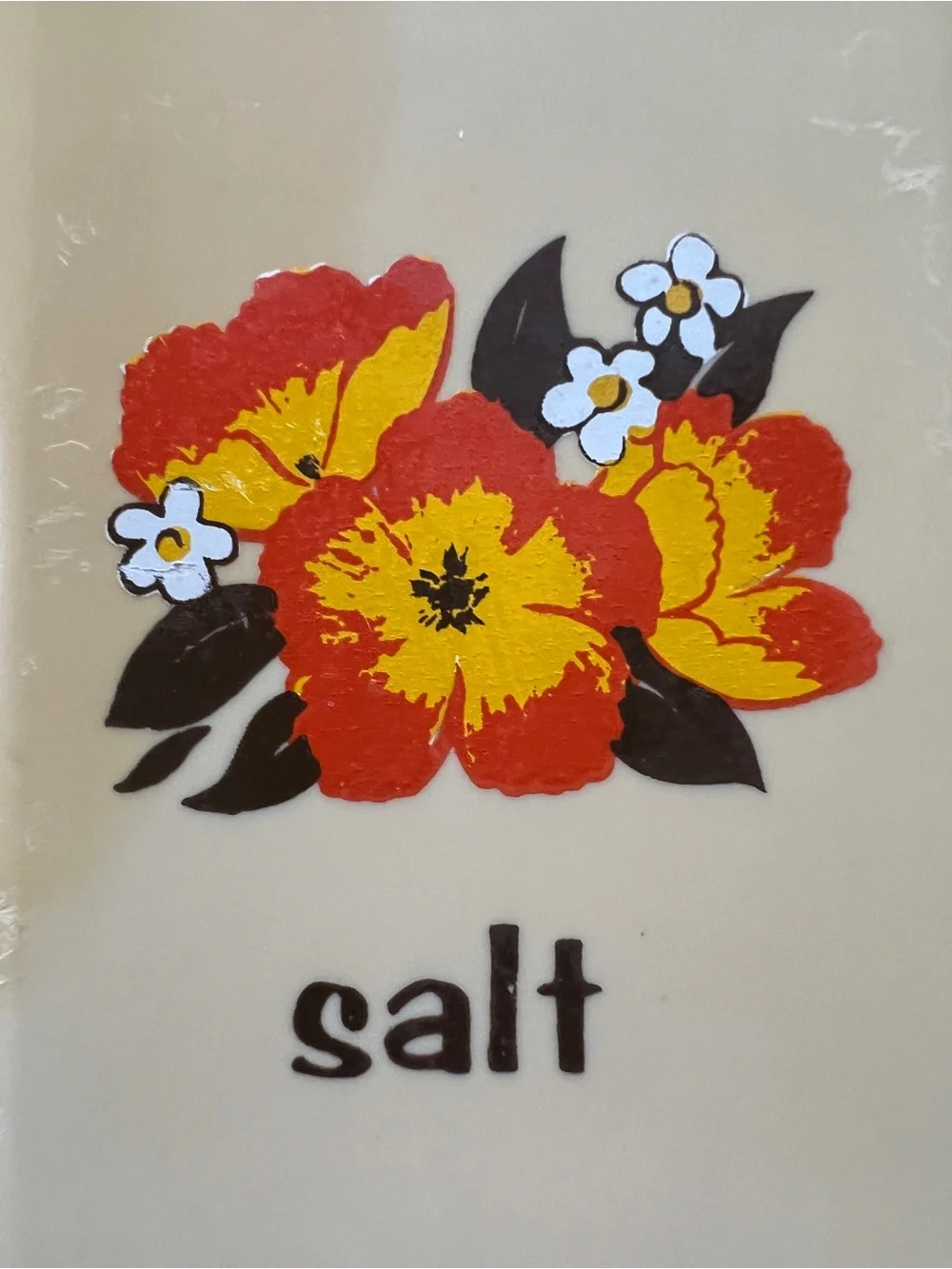 Vintage Large Plastic Salt and Pepper Shakers 60s